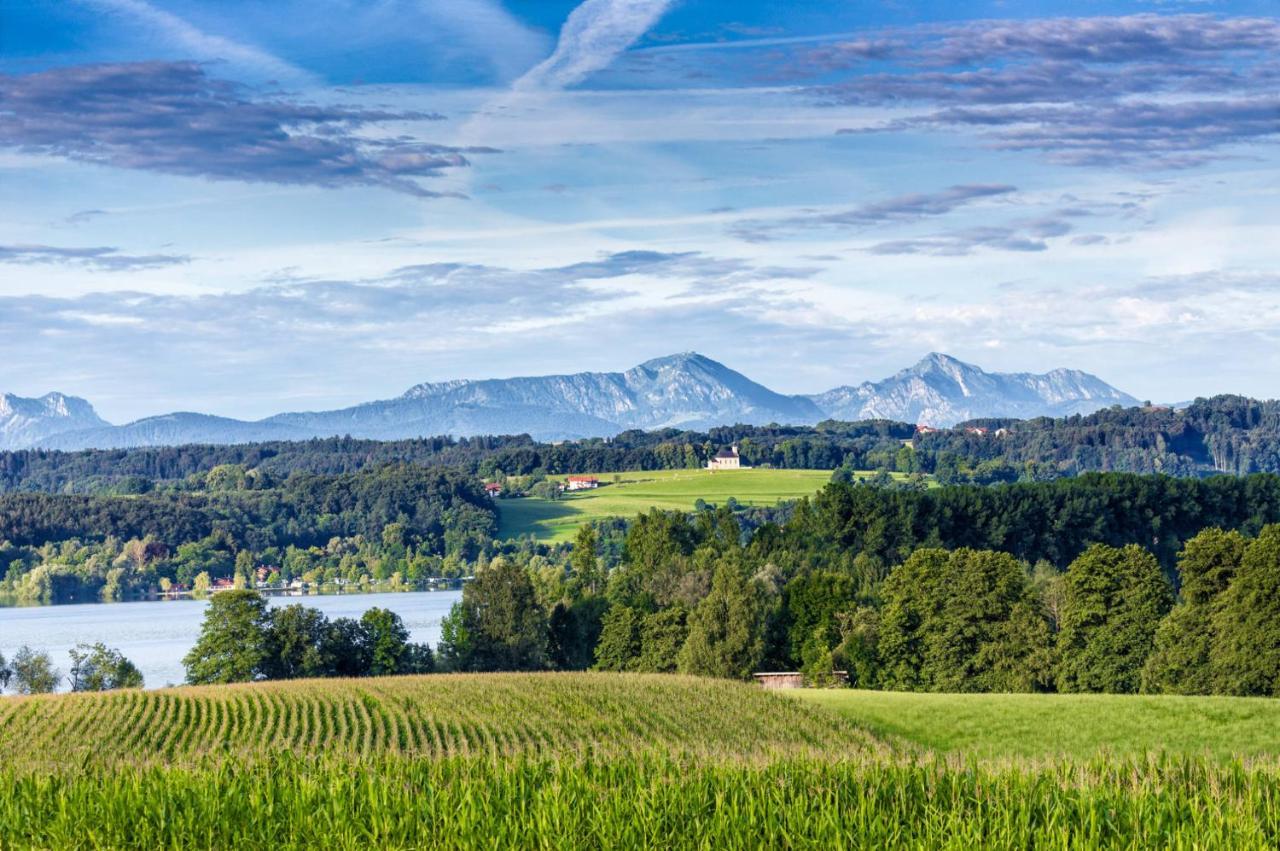 Landhaus Tanner Waging am See Buitenkant foto